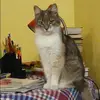 Отзыв от Анна Боброва